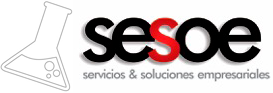 Gsesoe