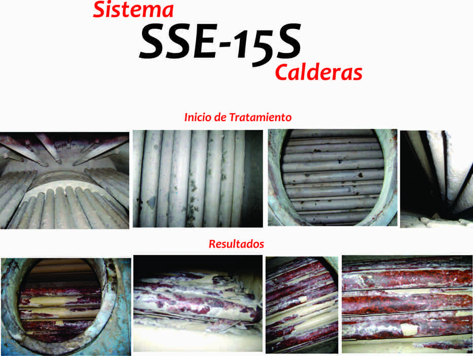gSeSoe